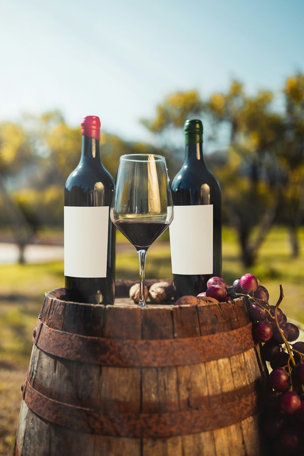 Les éléments clés à connaître sur le vin primeur 2022