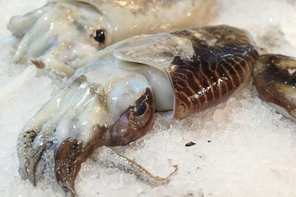 Beaucoup ont apprécié cette recette de seiche à la plancha